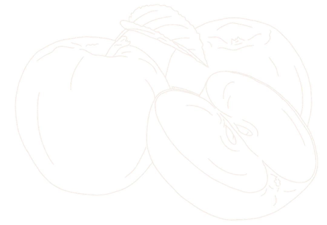 Hand drawn line drawing of 2 apples and half an apple