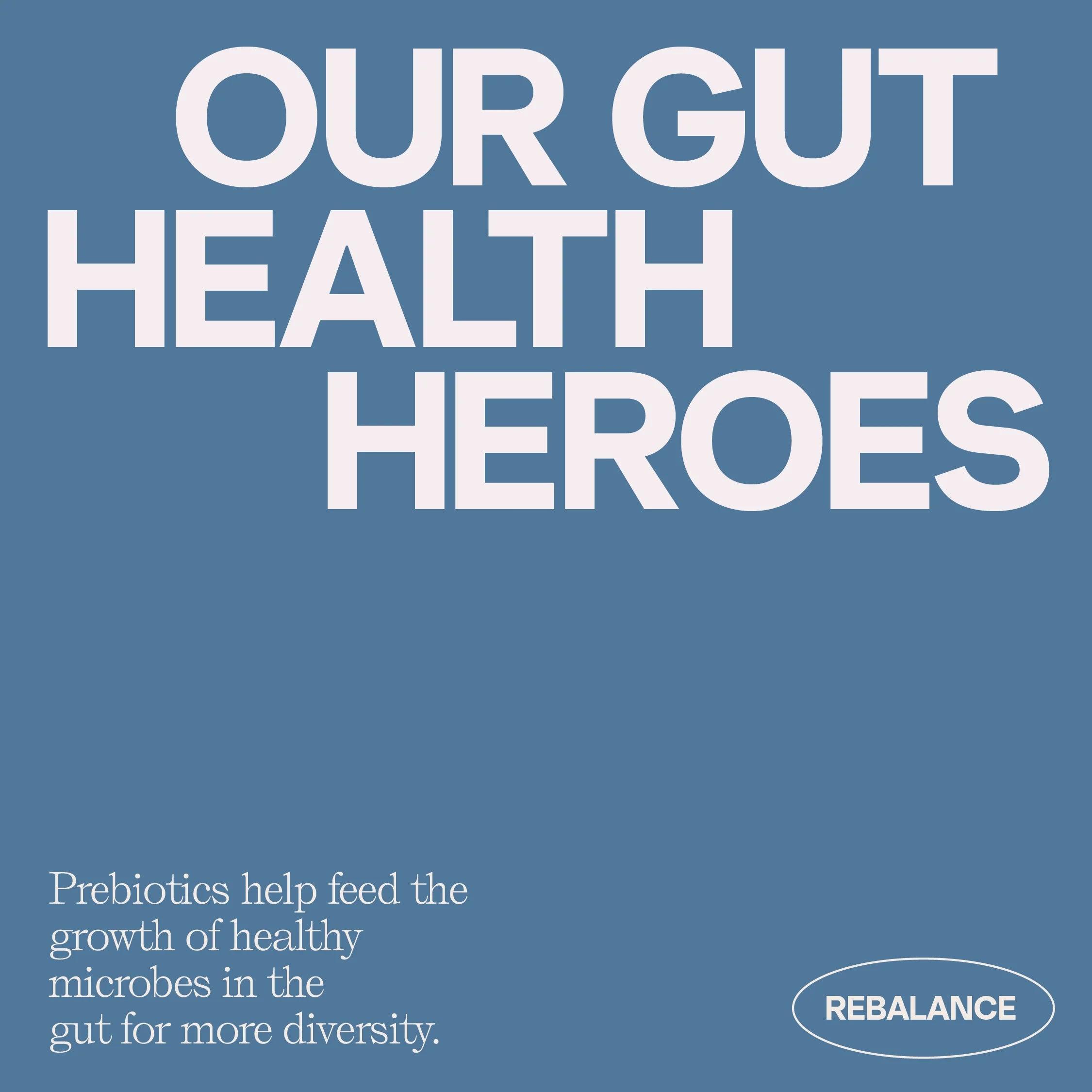 ReasonRemedy Social Media Post - Our Gut health Heroes 